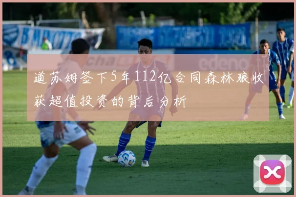 道苏姆签下5年112亿合同森林狼收获超值投资的背后分析