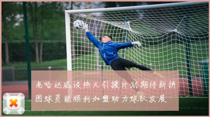 老哈达威谈热火引援计划期待新拼图球员能顺利加盟助力球队发展